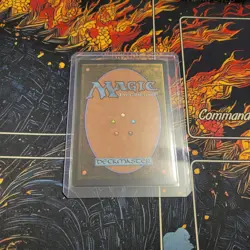 Magic The Gathering Wan Shi Tong, The Librarian Borderless *JAPANESE FOIL* M0320 - Image 2