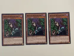 Yugioh - Witch of the Black Forest x 3 - 1st Edition LP - Plus Free Holo Card - Image 1