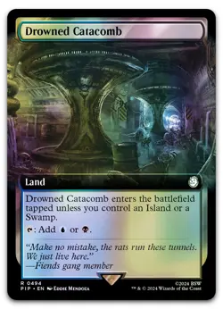 Drowned Catacomb (Extended Art) #494 (Foil) (NM) Fallout PIP Magic MTG - Image 1
