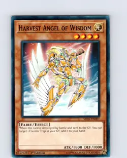 Yu-Gi-Oh TCG Harvest Angel Of Wisdom SR05-EN007 1st Edition Common Card NM - Image 1