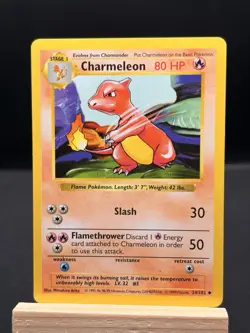 Charmeleon 1995-1999 Pokemon Base Set 24/102 - Image 1