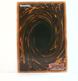 Dark Magician Girl DPYG-EN008 Duelist Pack: Yugi-1st Edition 1st Edition - Image 2