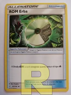 ROM Erba R Gioco Di Squadra 143/181 R Non Comune R Pokemon Italiano - Image 1