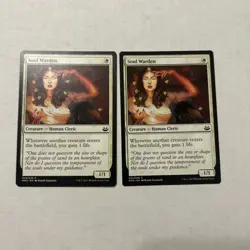 Magic: the Gathering / MtG Soul Warden x2 Modern Masters 2017 - Image 1