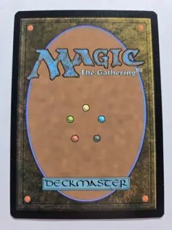 Arcane Signet Foil (1919) | NM/M | Secret Lair: Cats Are Better Than Dogs | MTG - Image 2