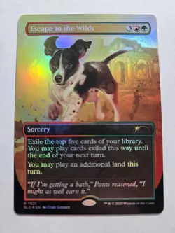 NM MTG RAINBOW FOIL ESCAPE TO THE WILDS - SECRET LAIR DOGS ARE BETTER THAN CATS - Image 1