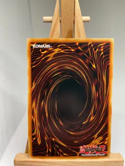 Forbidden Dark Contract With The Swamp King 1st Edition TDIL-EN056 - NM - YuGiOh - Image 2