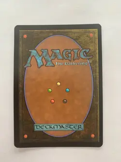 MTG - Yavimaya Coast - FOIL - Japanese - Signed by Mark Poole - Dominaria United - Image 2