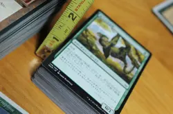 MTG 450-500 Non-English Early Sets Card Lot - FBB, CHR, ATQ, ARN, LEG, DRK, WAR - Image 5