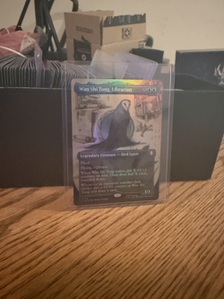 Wan Shi Tong Librarian Borderless FOIL NM - Image 1