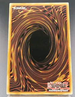 Dracotail Phryxul 1st Edition Secret Rare DOOD-EN023 Yu-Gi-Oh! - Image 2