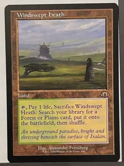 Windswept Heath Retro - Modern Horizons 3 MTG Magic the Gathering - Image 1