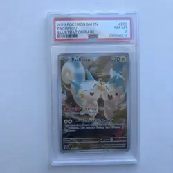 2023 POKEMON SVI EN-SCARLET & VIOLET ILLUSTRATION RARE #208 PACHIRISU PSA 8 - Image 1