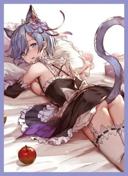 Re:Zero Starting Life in Another World Rem doujin Card Sleeve Protector - Image 1