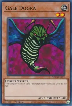 Yugioh! 3X Gale Dogra - SDCS-EN021 - Common - 1st Edition Near Mint, - Image 1