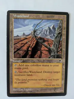 Wasteland Tempest MTG NM Free shipping with tracking - Image 1