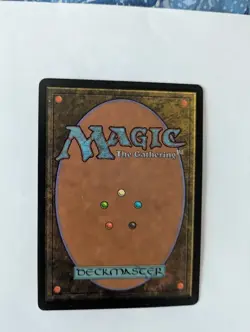 Wasteland Tempest MTG NM Free shipping with tracking - Image 2