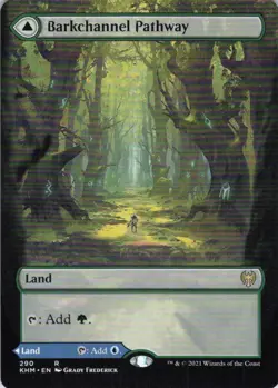 MTG Barkchannel Pathway (Borderless) (290) | NM | Kaldheim {KHM} - Image 1