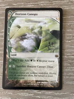Horizon Canopy Future Sight LP MTG Magic: The Gathering - Image 1