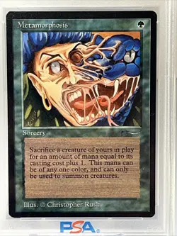 1993 Magic The Gathering Metamorphosis Arabian Nights PSA 8 - Image 2