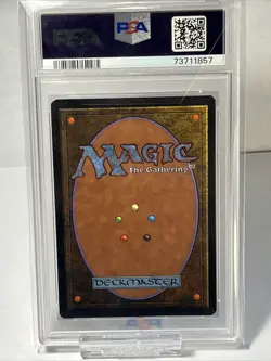 1993 Magic The Gathering Metamorphosis Arabian Nights PSA 8 - Image 3