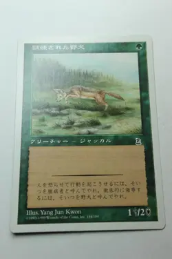 MTG Trained Jackal x1- Japanese-Portal Three Kingdoms-Lightly Played - Image 1