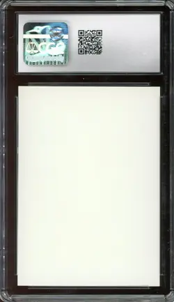 CGC 8.5 Beta Artist Proof Forest {PATH} ~ Vintage MTG/Magic ~ RARER than ALPHA!! - Image 2