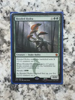 MTG Hooded Hydra M Commander: Murders at Karlov Manor 171 VG - Image 1