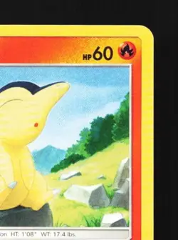 Cyndaquil 39/214 LP Lost Thunder English Pokemon Card TCG - Image 5