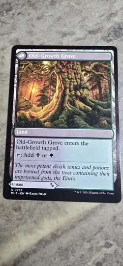 Revitalizing Repast Modern Horizons 3 Regular - Image 2