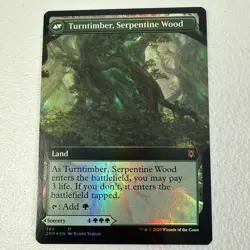 Turntimber Symbiosis (Extended Art) Zendikar Rising Foil - Image 2