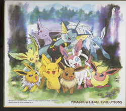 Pokemon TCG Pikachu & Eevee Evolutions Shikishi Art Board Pokemon Center - Image 1