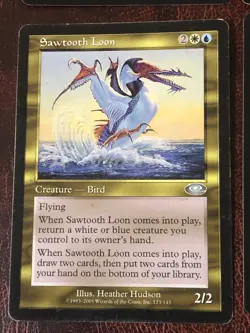 Sawtooth Loon X4 Planeshift LP Condition See Pics Front Back - Image 2