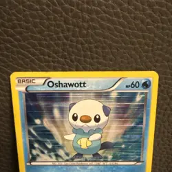 Pokemon TCG Oshawott BW03 Black & White Holo Promo LP - Image 2
