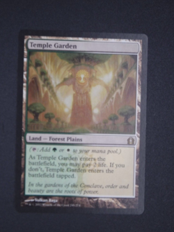 MTG Temple Garden Return to Ravnica - Image 1