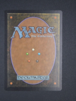 MTG Temple Garden Return to Ravnica - Image 2