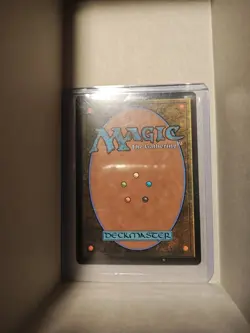 Prismatic Vista Modern Horizons Regular - Image 4
