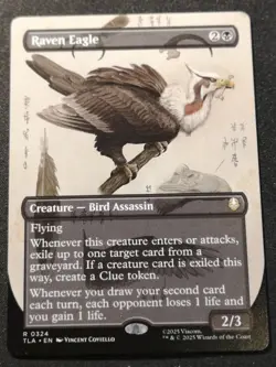 Raven Eagle - Borderless - TLA - MTG - EN - NM - 0324 - Image 1