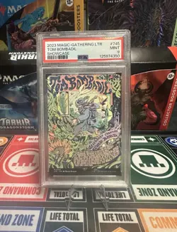 Tom Bombadil (Borderless Poster) Universes Beyond: the Lord of the Rings - Image 1