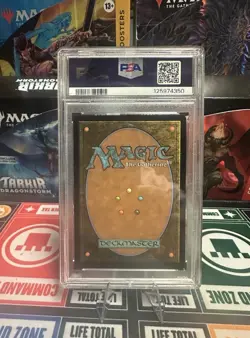 Tom Bombadil (Borderless Poster) Universes Beyond: the Lord of the Rings - Image 2