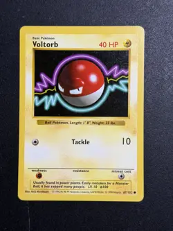 Voltorb - English - Shadowless Base Set Pokemon TCG Card #67/102 - Image 1