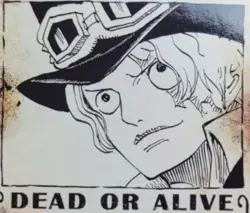 Sabo OP13-120 SP Wanted Poster Alternate Art One Piece Card English Carrying On - Image 3