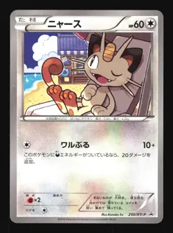 Pokemon Japanese Meowth Black Mega Gard. Camp Promo 250/XY-P NEAR MINT-1 - Image 1