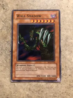 Yugioh Wall Shadow SRL-EN056 MP/HP - Image 1