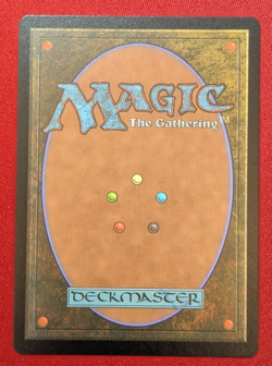 LCI Chocobo Track Foil Borderless CHOCO SEEKER OF PARADISE 1x Final Fantasy MTG - Image 2