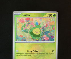 Pokemon Card TCG - Budew 004/131 Master Ball Reverse Prismatic Evolutions - NM ⭐ - Image 2