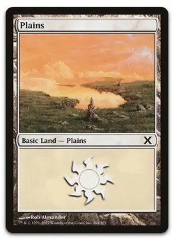 Plains (364) #364 (NM) 10th Edition 10E Magic MTG - Image 1