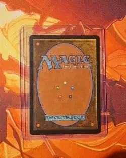 MTG - Sram, Senior Edificer - MUL 0006 - March of the Machine Multiverse Legends - Image 2