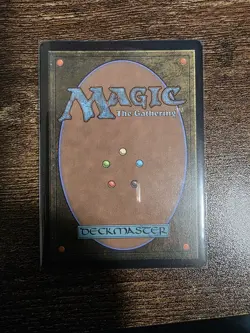 Wakka, Devoted Guardian MTG Final Fantasy NM (Borderless Chocobo Track Foil) - Image 2