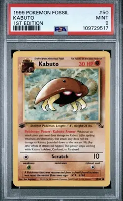 Kabuto 50/62 Fossil Regular for sale online - Image 1